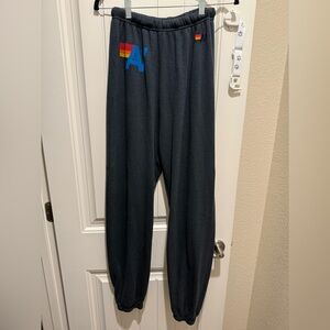 NWOT Aviator Nation Logo Sweatpants- Charcoal